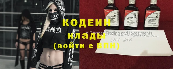 молекула духа Арсеньев