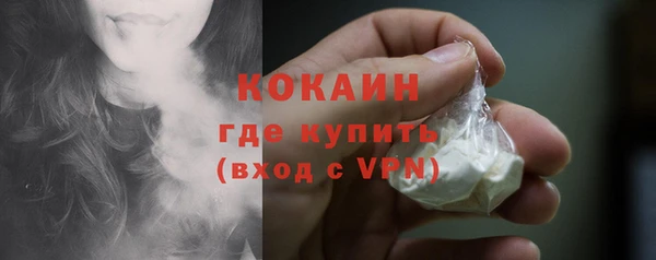 молекула духа Арсеньев